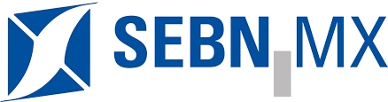 SE bornetze logo