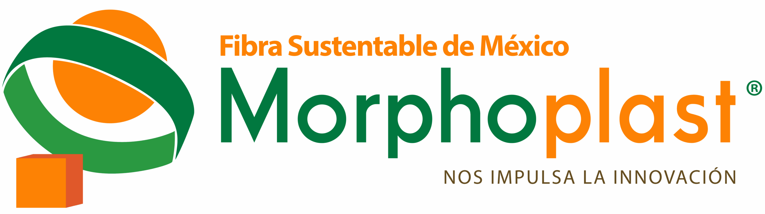 logo morphoplast